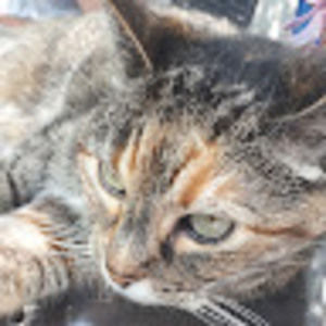 Meet your Posher, Jacky